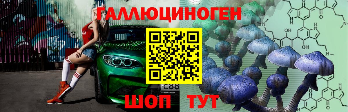 Галлюциногенные грибы Psilocybe Карталы